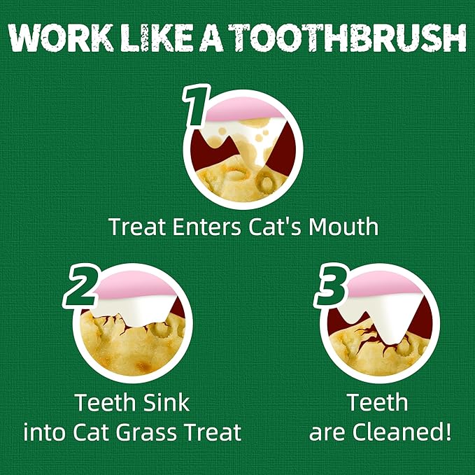 Just Try 13.4oz Cat Grass Treats | Salmon Oil Biscuits | Natural Salmon Kitten Snacks | Omega 3 for Skin Coat & Joint Support | Training Treats