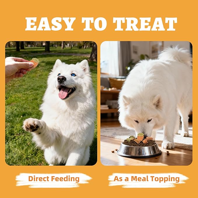 Just Try 10.58oz Baked Carrot Dog Biscuits Chicken Flavor with Carrot & Broccoli Healthy Training Treats for Dogs