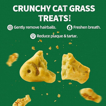 Just Try 13.4oz Cat Grass Treats | Salmon Oil Biscuits | Natural Salmon Kitten Snacks | Omega 3 for Skin Coat & Joint Support | Training Treats