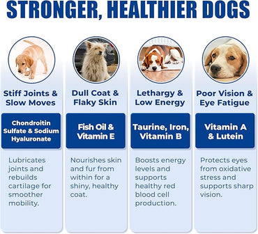 Just Try 23-in-1 Dog Multivitamin Chews | 300 Bites, Chondroitin & Omega-3, Joint & Skin Support Supplement