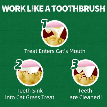 JUSTTRY Pumpkin Cat Treats –Rich in Fibre and Low-Calorie Digestive Snacks for constipation relief, 13.4oz