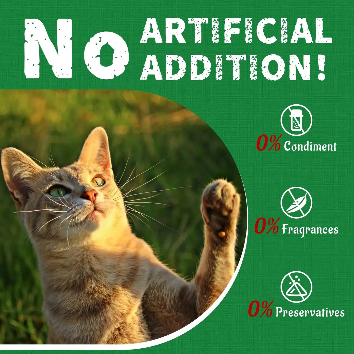 JUSTTRY Hairball Control Cat Grass Treats – Natural Salmon & Cat Grass Biscuits with Catnip for Dental Care & Training, 36oz