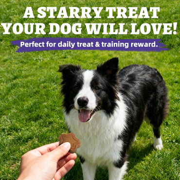 Just Try 15 OZ Blueberry Dog Treats Biscuits Eye Function Immune Blueberry Treats For Dogs