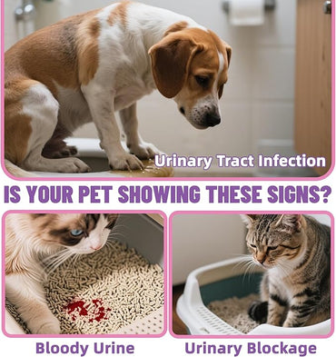 Just Try Cranberry Powder for Dogs & Cats | Urinary Tract Support SupplementCat Treats