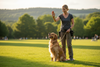 Just Try Coenzyme Q10 Heart Healthy Bites for Dogs | Best CoQ10 & Taurine Heart Supplement Chews