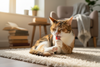 JUSTTRY 300 Bites Cat Skin & Coat Bites | Omega-3 Salmon Oil Supplement