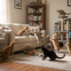 Why JUSTTRY Fish Oil Lickable Treats Are a Game-Changer for Skin & Coat Health