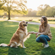 Just Try 15oz Sweet Potato Dog Biscuits: Gut-Friendly, Tasty Training Rewards for Every Pup