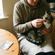 How to Treat Tapeworms in Cats at Home