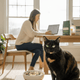 Best Multivitamin for Cats: What to Look For in a Daily Supplement - Just Try