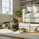 Cat Multivitamin Chews vs Liquid Vitamins vs Powders: Which Is Right for Your Cat? - Just Try