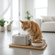 How Does Urinary Cat Food Work? Diet, Hydration & Urinary Health - Cat Grass, Treats & Supplements for Cats & Dogs | JustTry™