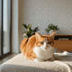 How to Reduce Cat Shedding Naturally: Diet, Grooming, and Nutrition Tips - Cat Grass, Treats & Supplements for Cats & Dogs | JustTry™