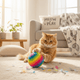 Support Your Cat’s Daily Health with Just Try 16 oz Chicken Flavor Probiotic Cat Treats - Just try