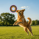 Tasty Support for a Strong Heart: Why Just Try CoQ10 Bites Are a Game Changer for Senior Dogs - Just try
