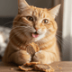 The Power of Pure Protein: Why JUSTTRY Freeze-Dried Duck Cubes Are the Functional Treat Your Pet Needs - Just try