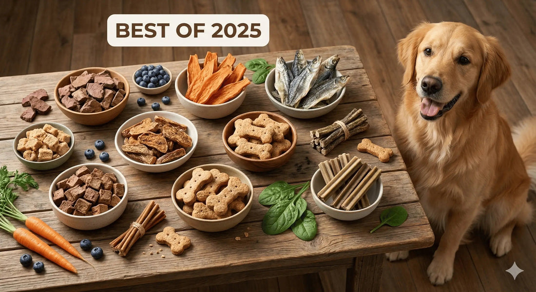 Top 10 Healthy Dog Treats: The Safest & Best Natural Picks for 2025 - Just try