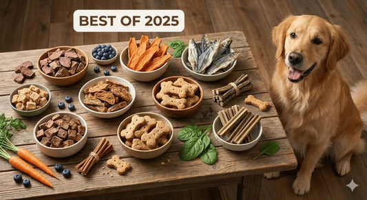 Top 10 Healthy Dog Treats: The Safest & Best Natural Picks for 2025 - Just try