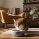 Upgrade Mealtime: JUSTTRY Fish Roe Freeze-Dried Food Toppers for Dogs & Cats - Just try