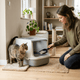 What Should Cat Poop Look Like? Normal Color, Consistency & How Often Cats Poop - Just Try