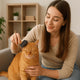Why Is My Cat Losing Hair? Bald Spots, Overgrooming & Common Causes - Just Try