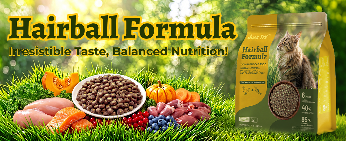Just Try Hairball Control Cat Food, 5 lb – High-Protein Chicken & Salmon Dry Cat Food with Cat Grass, Pumpkin & Psyllium