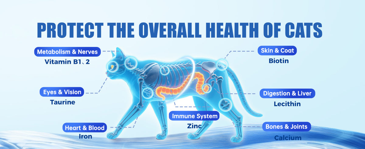 JUSTTRY Cat Multivitamin Bites – 300 Bites, Taurine, Lysine & Omega-3 Fish Oil Daily Supplements for Immune, Skin, Coat & Heart Support, 6.35oz