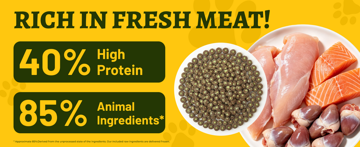 Just Try Hairball Control Cat Food, 5 lb – High-Protein Chicken & Salmon Dry Cat Food with Cat Grass, Pumpkin & Psyllium