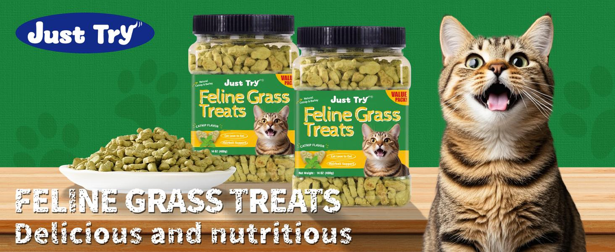 JUSTTRY Natural Cat Grass Treats Hairball Relief & Dental Care 14oz