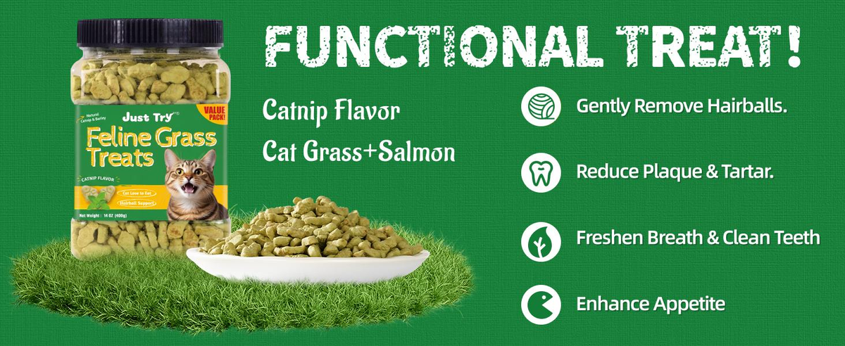 JUSTTRY Natural Cat Grass Treats Hairball Relief & Dental Care 14oz
