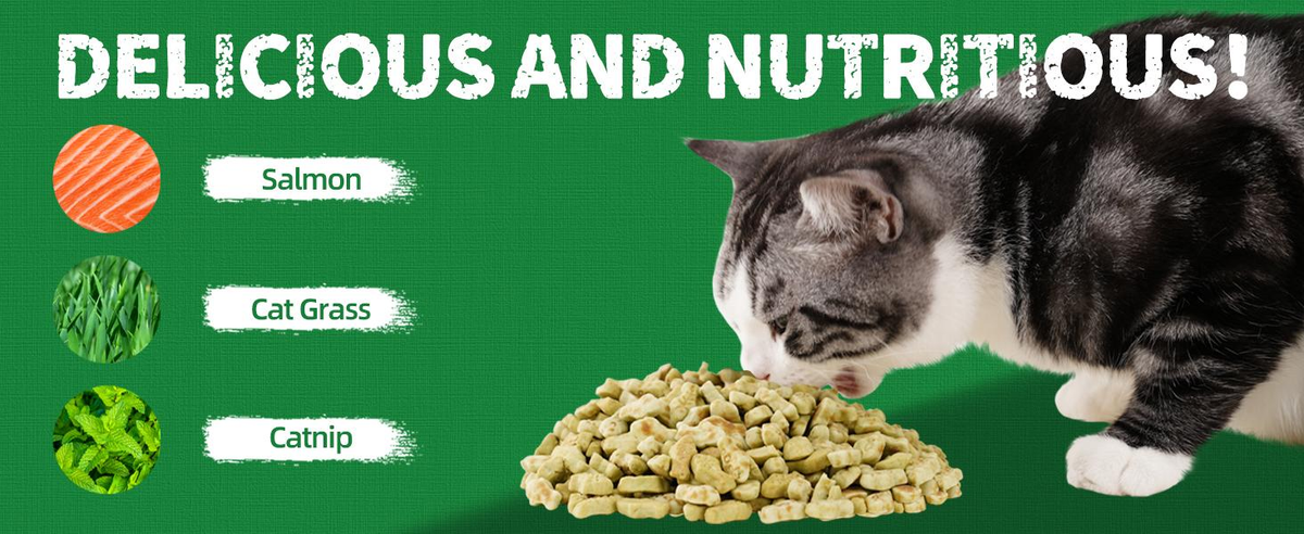 JUSTTRY Natural Cat Grass Treats Hairball Relief & Dental Care 14oz