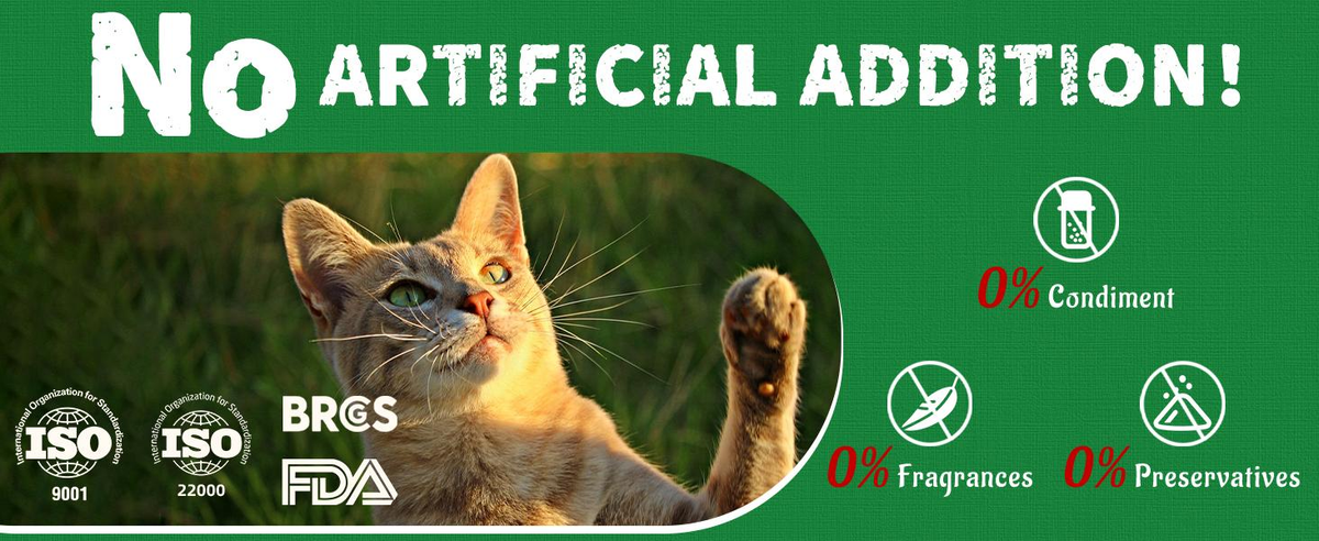 JUSTTRY Natural Cat Grass Treats Hairball Relief & Dental Care 14oz