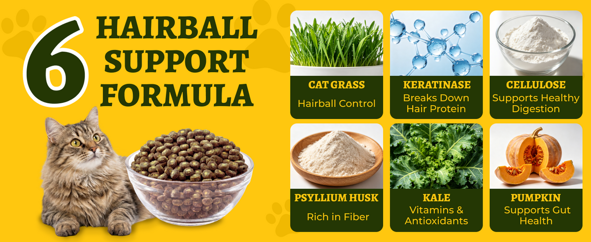 Just Try Hairball Control Cat Food, 5 lb – High-Protein Chicken & Salmon Dry Cat Food with Cat Grass, Pumpkin & Psyllium