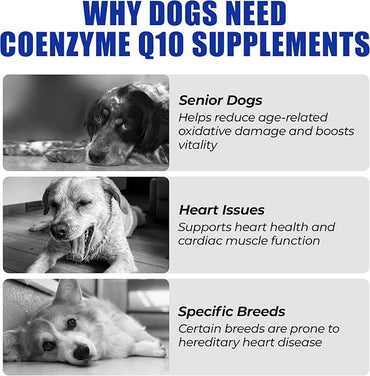 Just Try Coenzyme Q10 Heart Healthy Bites for Dogs, Advanced CoQ10 & Taurine Supplement, Chicken Flavored Soft Chews, Supports Heart Function, 300 Count