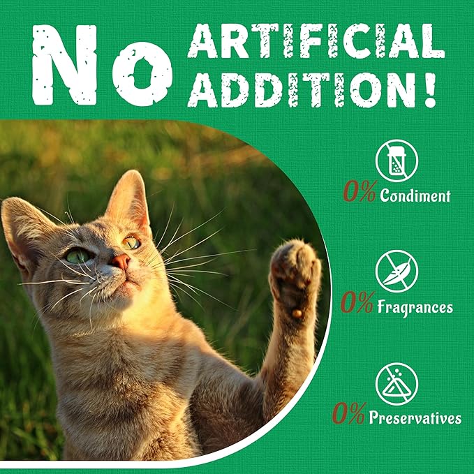 JUSTTRY Catnip Cat Treats | Chicken-Flavored Training Biscuits | Dental & Hairball Support | 13.4oz