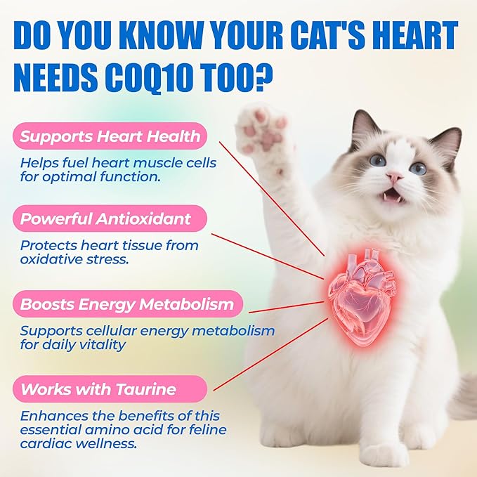 JUSTTRY CoQ10 Heart Support Bites – Chicken-Flavored Chews with CoQ10 & Taurine for Cats, 300 Count