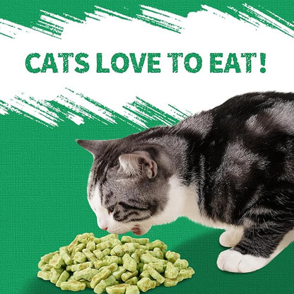 JUSTTRY Catnip Cat Treats | Chicken-Flavored Training Biscuits | Dental & Hairball Support | 13.4oz