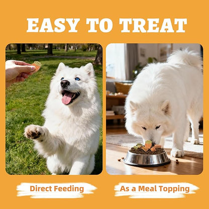 Just Try 10.58oz Baked Carrot Dog Biscuits Chicken Flavor with Carrot & Broccoli Healthy Training Treats for Dogs