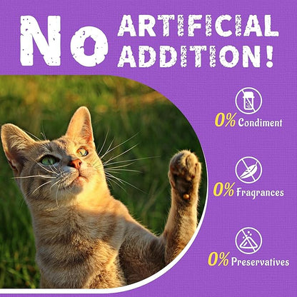 Just Try 13.4oz Lysine Cat Treats Natural Salmon Flavor Daily Wellness Dental Biscuits for Cats Kittens