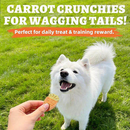 Just Try 10.58oz Baked Carrot Dog Biscuits Chicken Flavor with Carrot & Broccoli Healthy Training Treats for Dogs