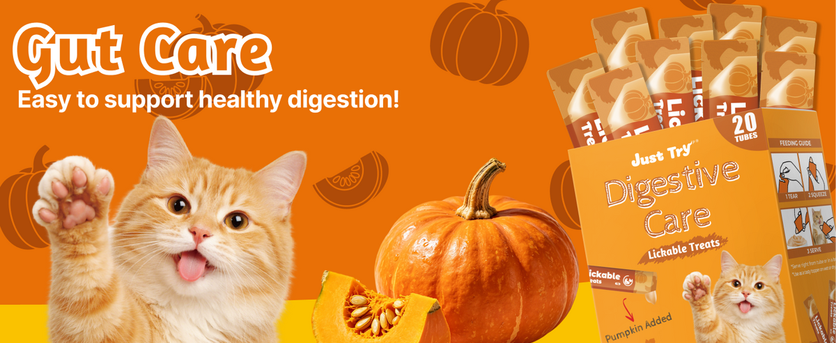 Solo prueba los bocadillos para gatos de calabaza, Lickable – Cuidado digestivo, taurina y FOS, 20 tubos