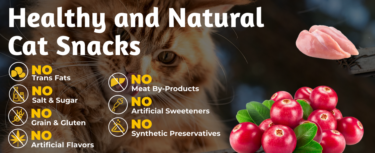 Just Try Golosinas Lickable para Gatos Cuidado Urinario – Sabor Pollo con Arándanos, 20 Tubos