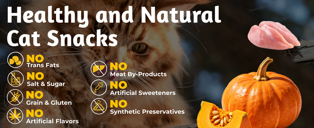 Solo prueba los bocadillos para gatos de calabaza, Lickable – Cuidado digestivo, taurina y FOS, 20 tubos