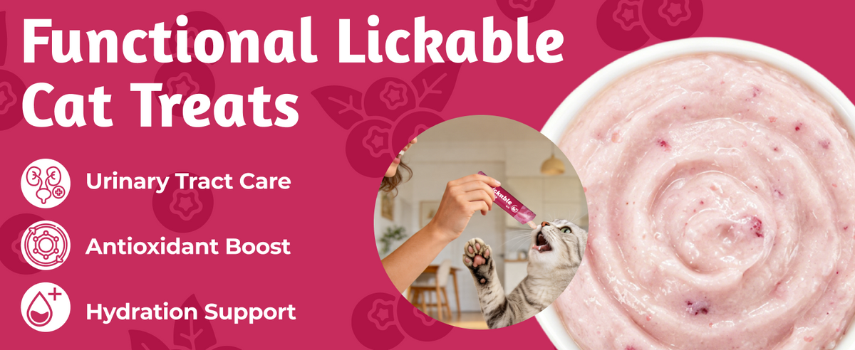 Just Try Golosinas Lickable para Gatos Cuidado Urinario – Sabor Pollo con Arándanos, 20 Tubos