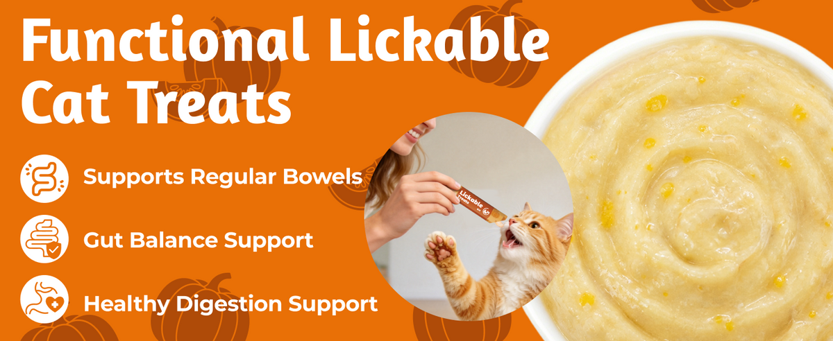 Solo prueba los bocadillos para gatos de calabaza, Lickable – Cuidado digestivo, taurina y FOS, 20 tubos