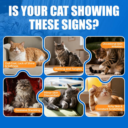 Cat Skin & Coat Chews for Healthy Skin & Shedding Control | Just TryCat Supplements