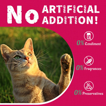 Just Try 13.4 oz Urinary Support Cat Snacks, Healthy Daily Treats for CatsCat Treats