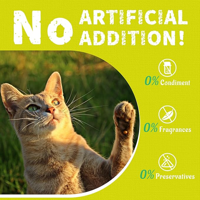 Just Try 13.4oz Cat Multivitamin Crunchy Chews - Daily Supplement for Immune, Joint, Skin & Coat, Digestion SupportJust Try