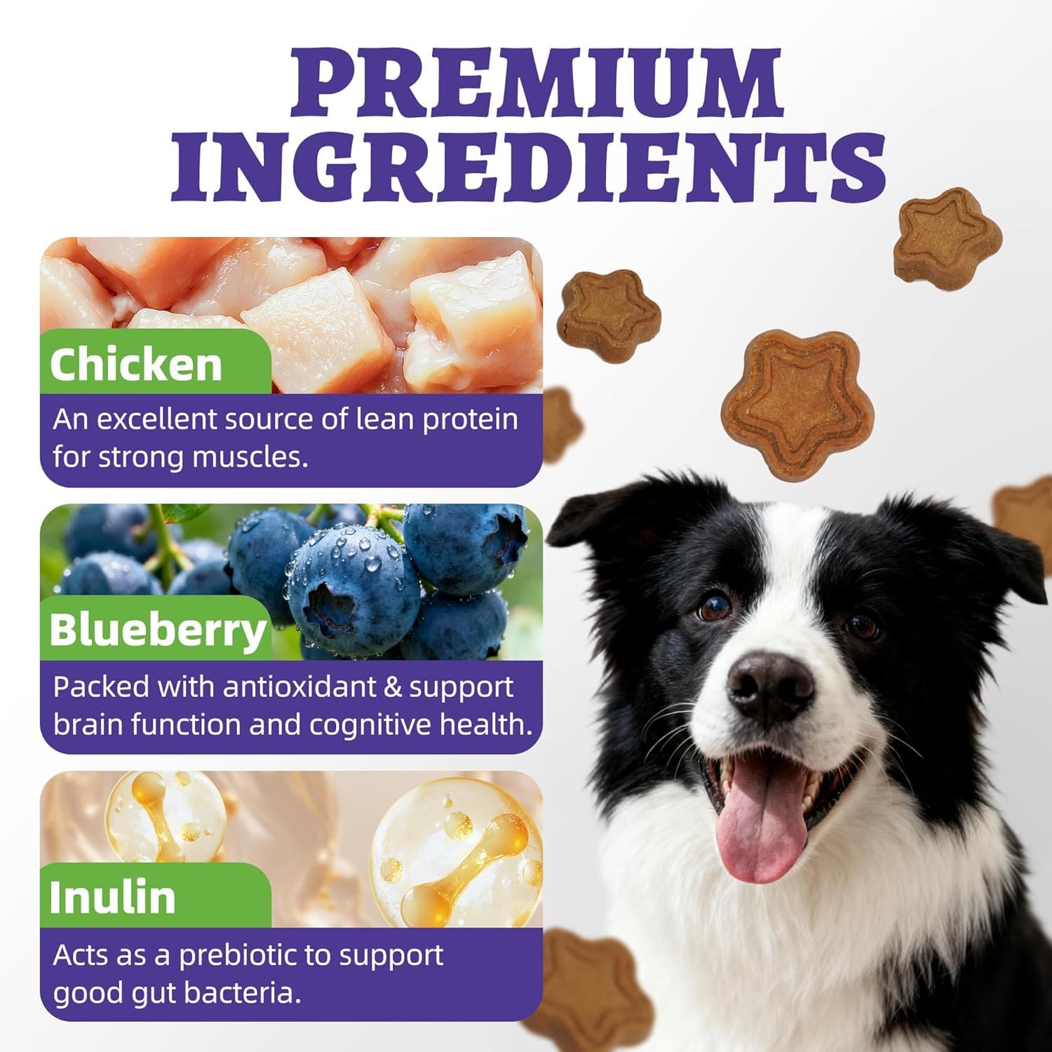 Just Try 15 OZ Blueberry Dog Treats Biscuits Eye Function Immune Blueberry Treats For DogsJust Try