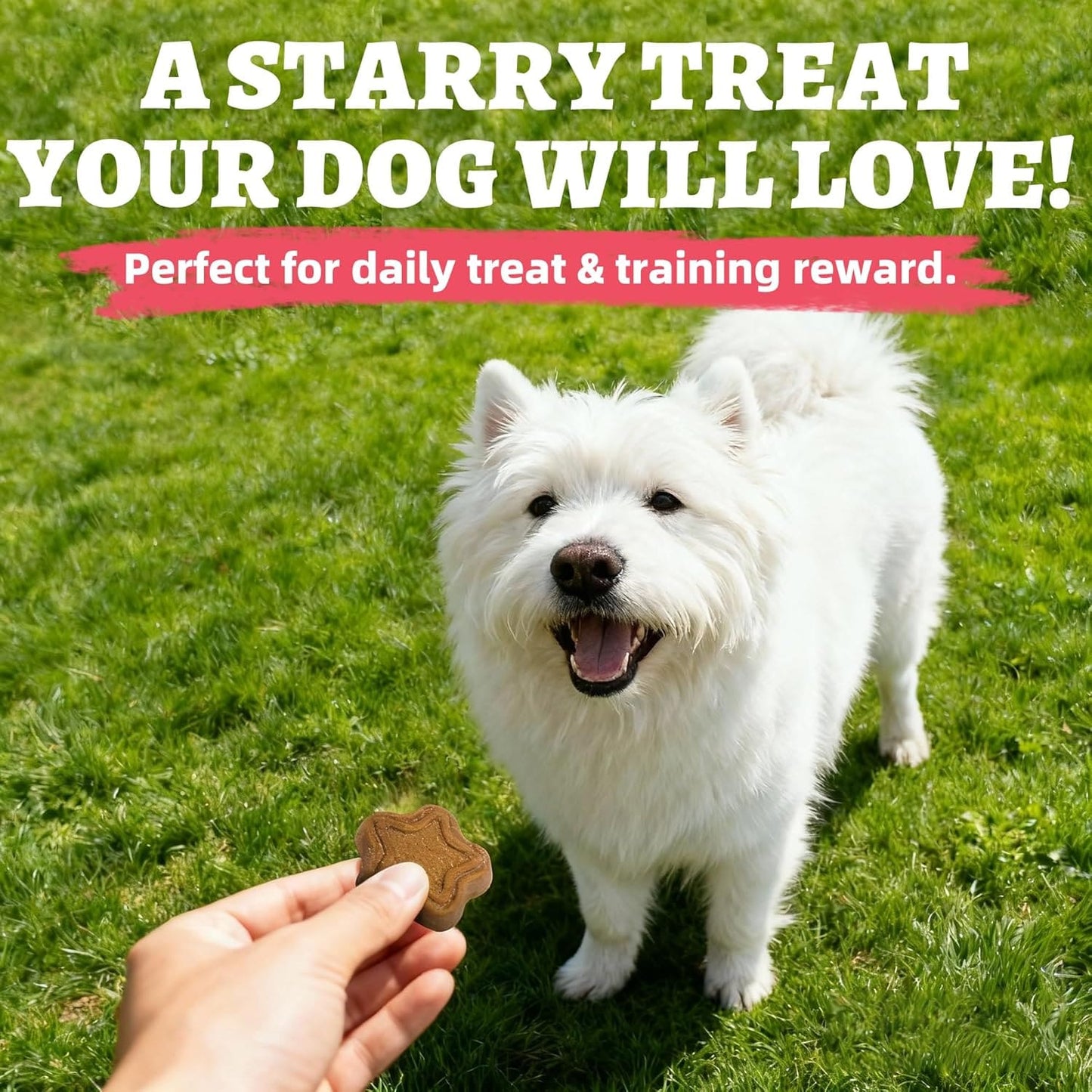 Just Try Cranberry Dog Treats for Urinary Health | Healthy Training BiscuitsJust Try